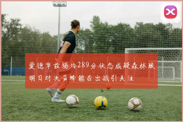 爱德华兹场均289分状态成疑森林狼明日对决黄蜂能否出战引关注